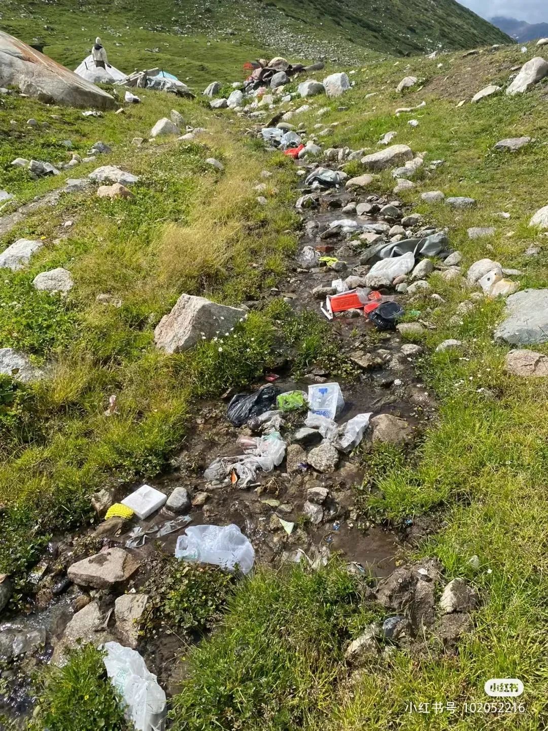 小牛误食塑料垃圾，新疆文旅厅：请不要让独库公路变成垃圾场