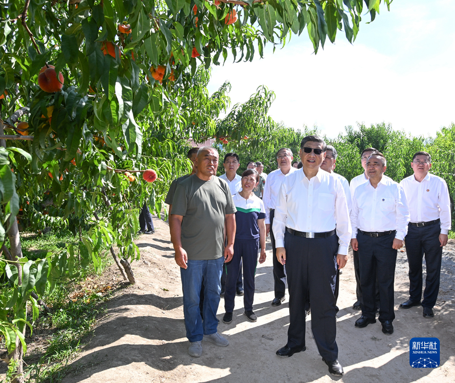习近平在新疆考察时强调 完整准确贯彻新时代党的治疆方略 建设团结和谐繁荣富裕文明进步安居乐业生态良好的美好新疆