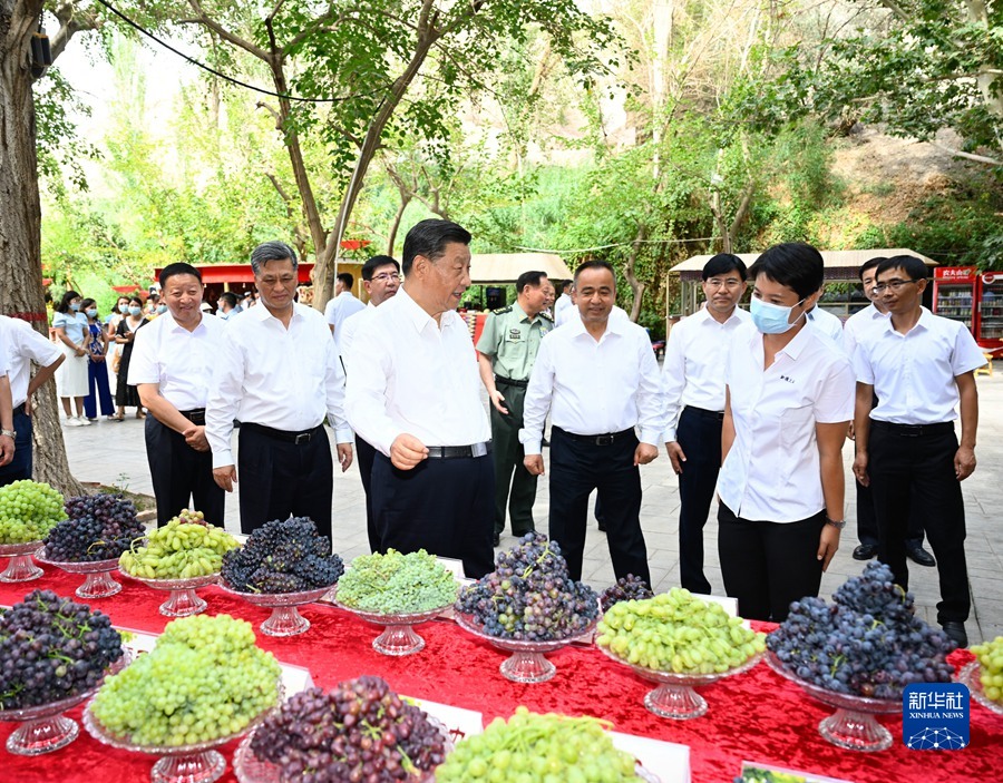 习近平在新疆考察时强调 完整准确贯彻新时代党的治疆方略 建设团结和谐繁荣富裕文明进步安居乐业生态良好的美好新疆