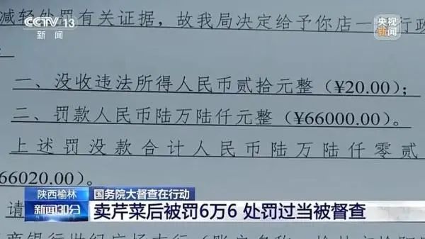 卖5斤芹菜被罚6.6万？国务院督查组质问当地领导