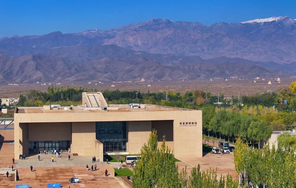 在西夏陵寻迹中华