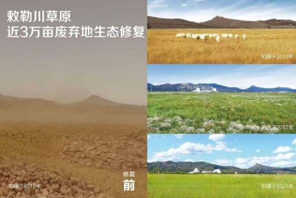 【数说绿色 智引发展】一株草背后的种业创新